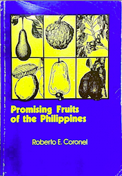 PROMISING FRUITS OF THE PHILLIPINES - CASHEW PROMISING FRUITS OF THE PHILLIPINES - CASHEW